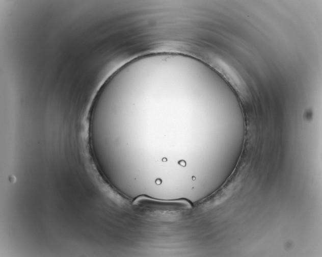 X0000102410900200808152003