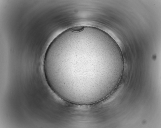 X0000102410901200808152003