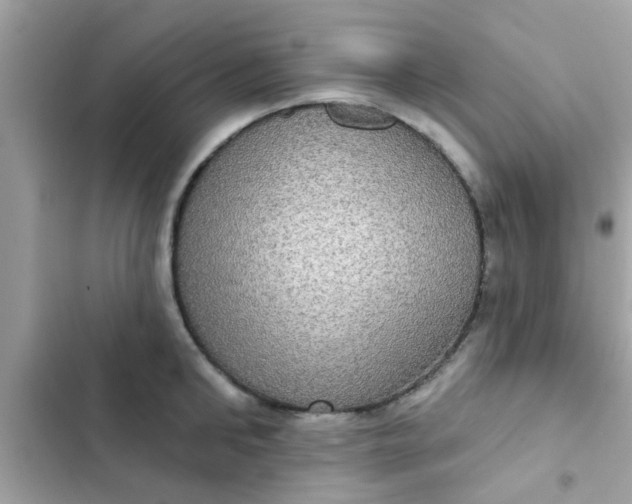 X0000102410902200808152003