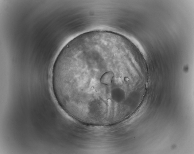 X0000102410903200808152003