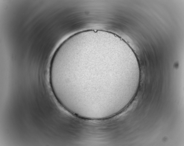 X0000102410904200808152003