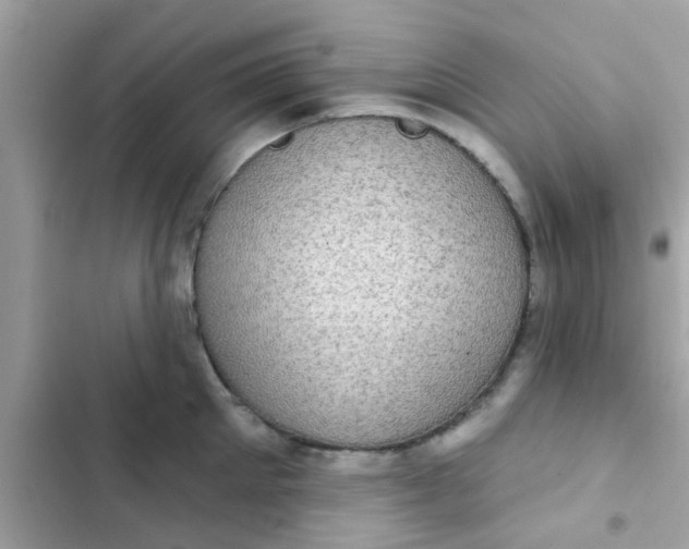 X0000102410905200808152003