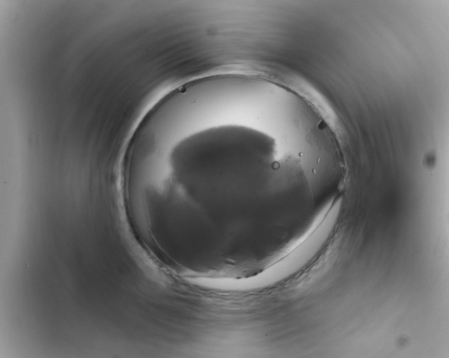 X0000102410907200808152002