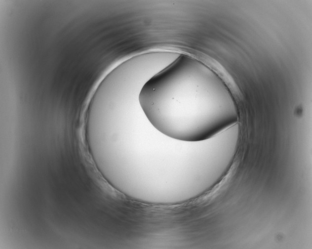 X0000102410908200808152002