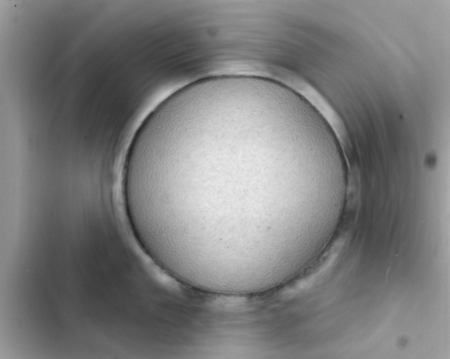 X0000102410909200808152002