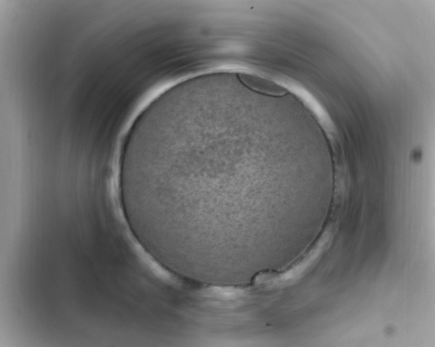 X0000102410910200808152002