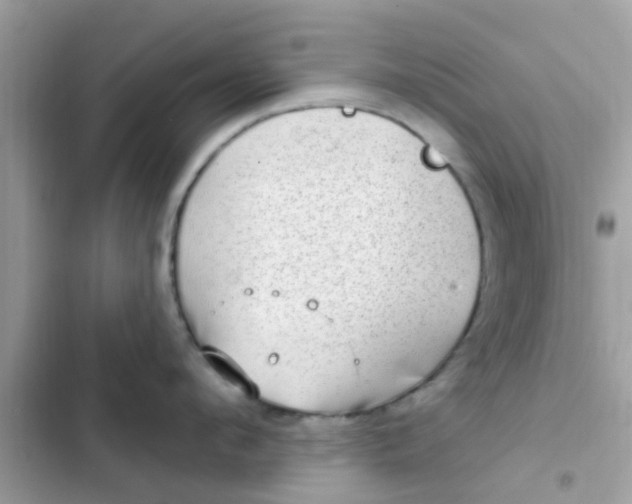 X0000102410912200808152002