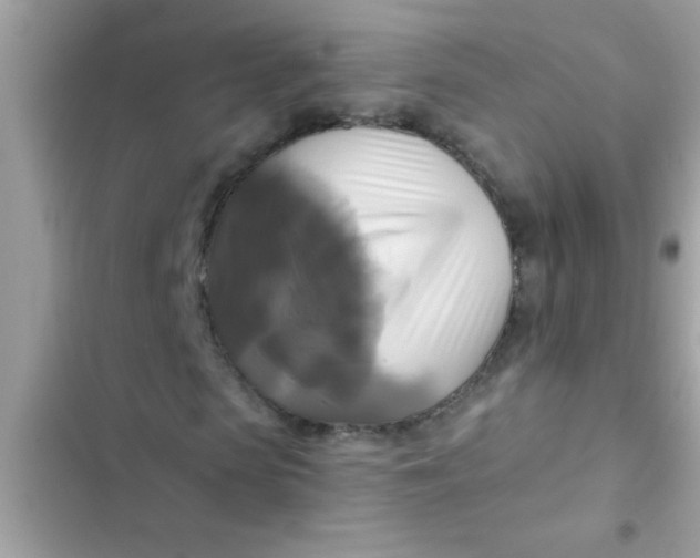 X0000102410913200808152002