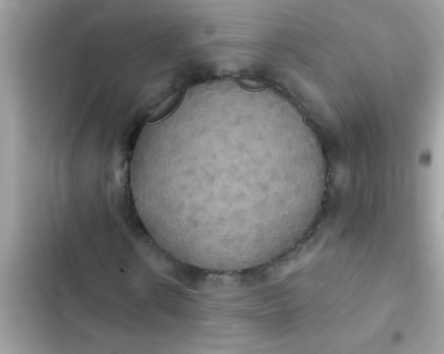 X0000102410914200808152002