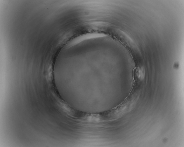 X0000102410915200808152002