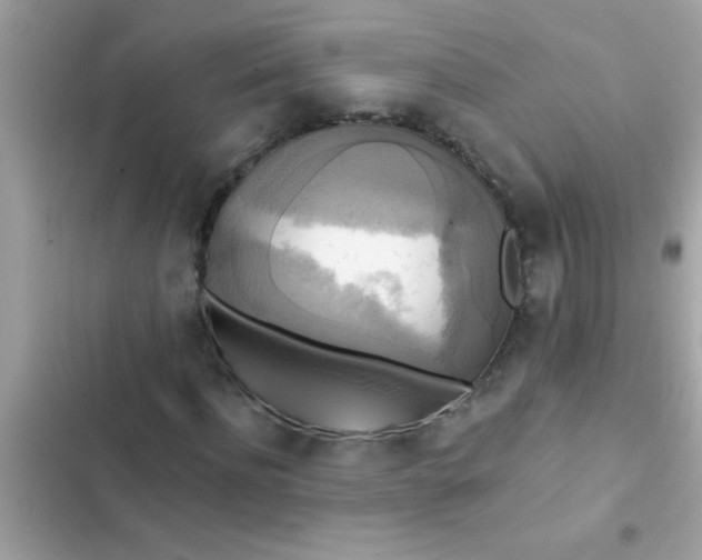 X0000102410916200808152002