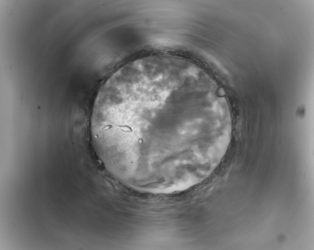 X0000102410917200808152002