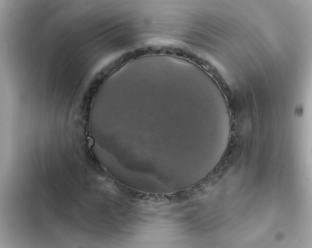 X0000102410919200808152002