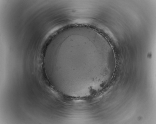 X0000102410920200808152002