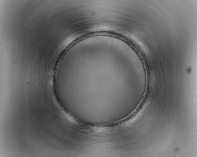 X0000102410921200808152002