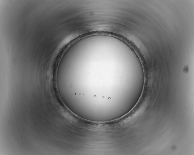 X0000102410922200808152002