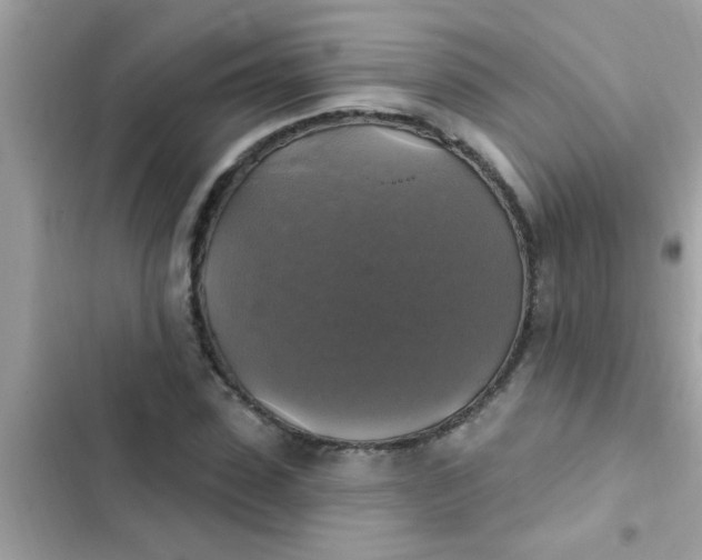 X0000102410923200808152002