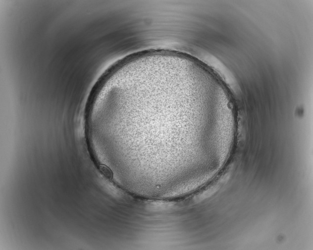 X0000102410924200808152002