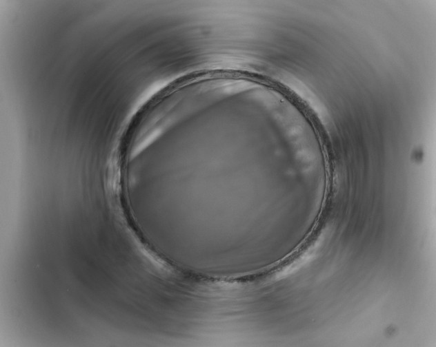 X0000102410925200808152002