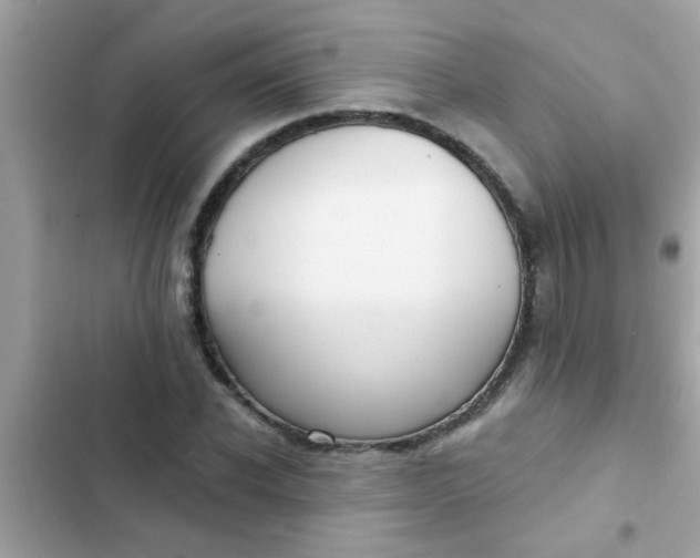 X0000102410926200808152002