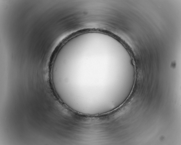 X0000102410927200808152002