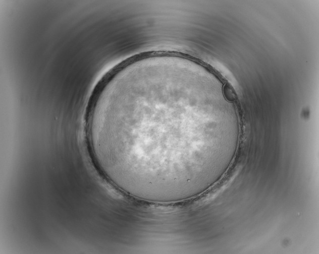 X0000102410928200808152002