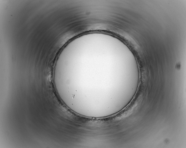 X0000102410929200808152002