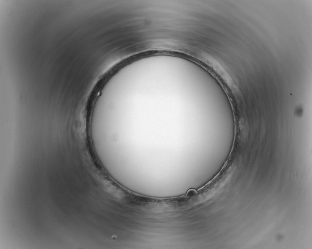 X0000102410931200808152002