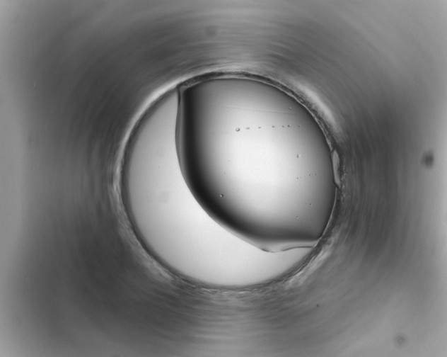 X0000102410932200808152002