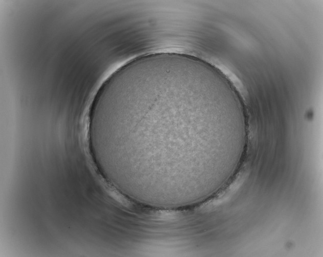 X0000102410933200808152002