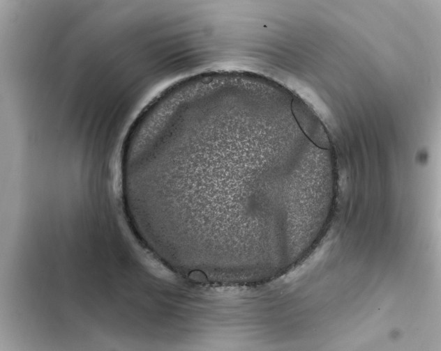 X0000102410934200808152002