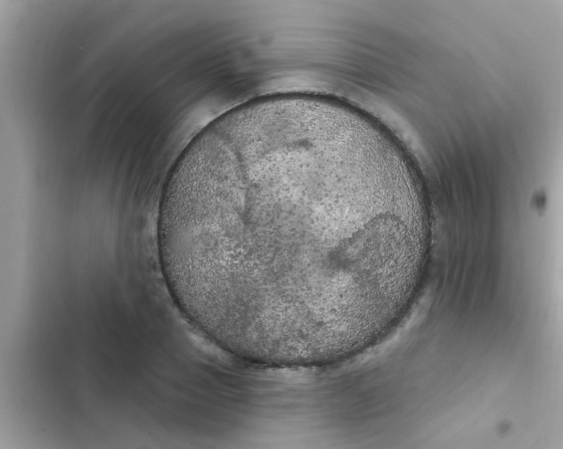 X0000102410937200808152002