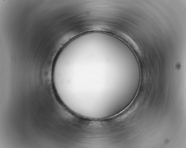 X0000102410938200808152002