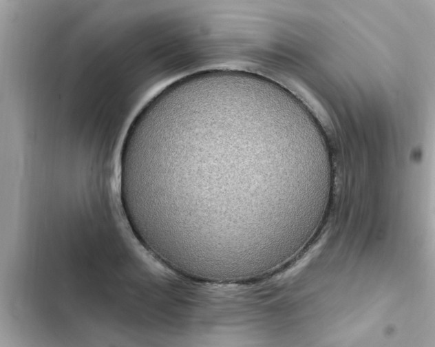 X0000102410940200808152002