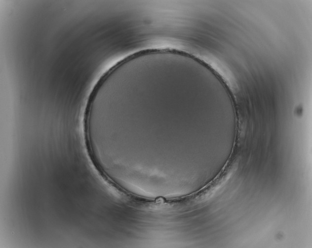 X0000102410943200808152002