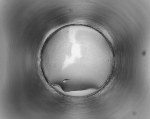 X0000102410944200808152002