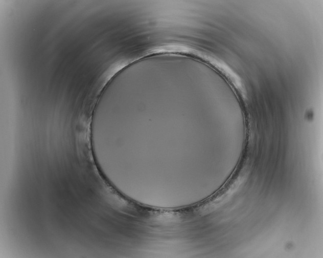 X0000102410945200808152002