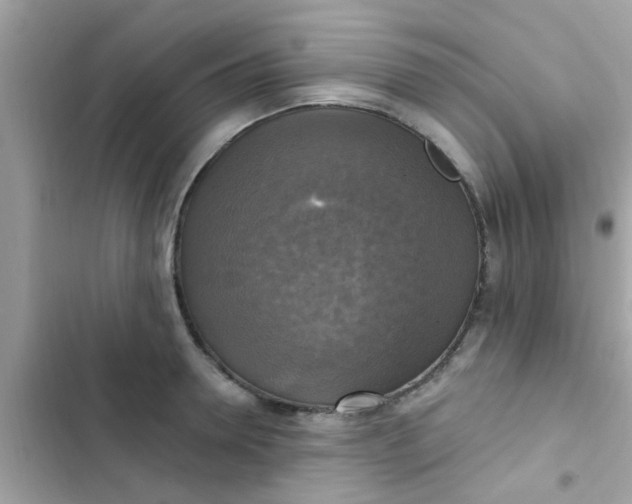 X0000102410946200808152002