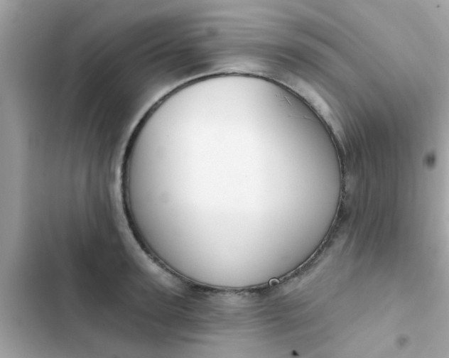 X0000102410947200808152002