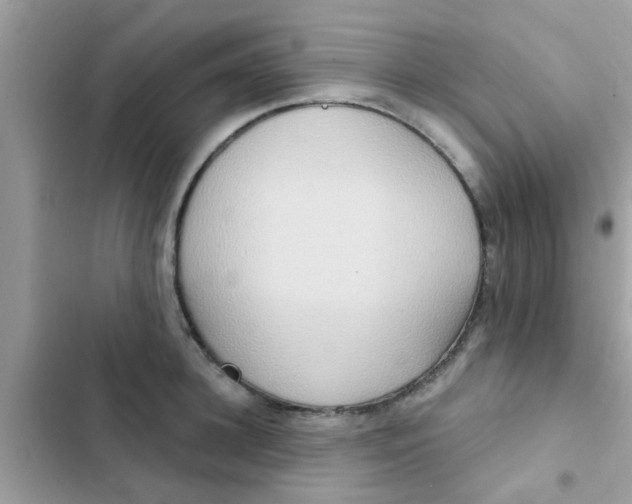 X0000102410948200808152002