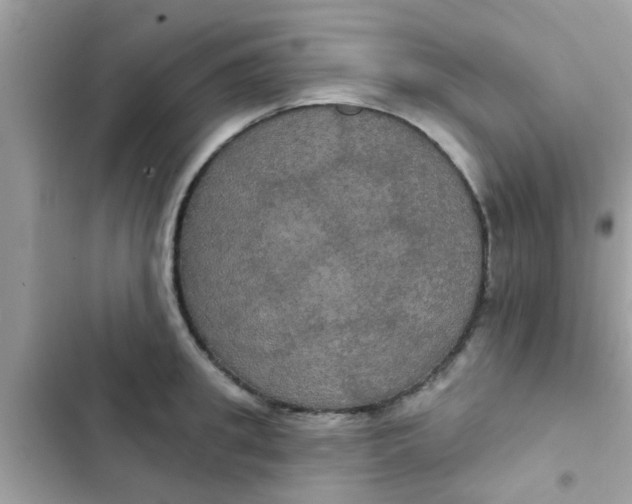 X0000102410949200808152002