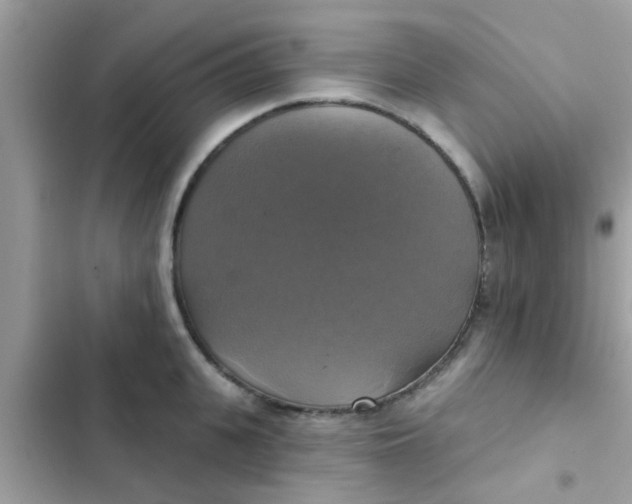 X0000102410951200808152002