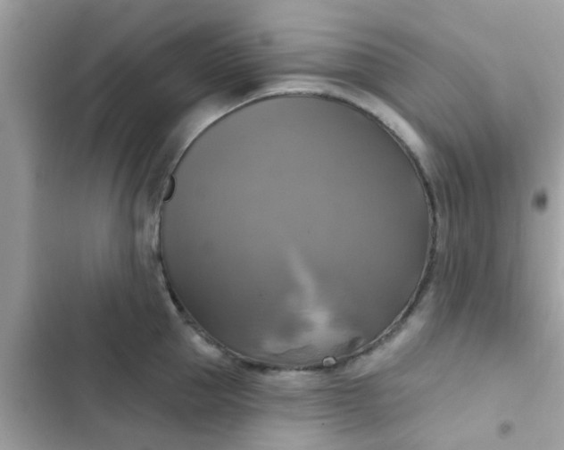 X0000102410953200808152002