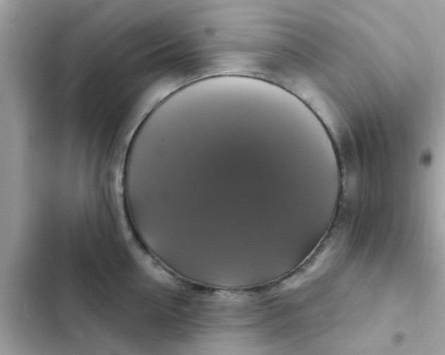 X0000102410954200808152002