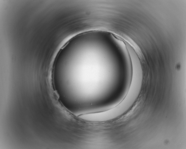 X0000102410956200808152002