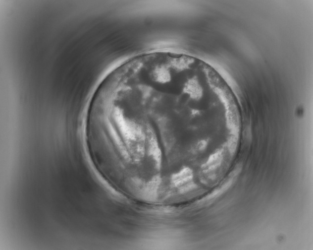 X0000102410957200808152002