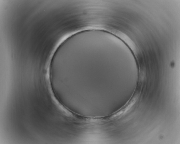 X0000102410958200808152002