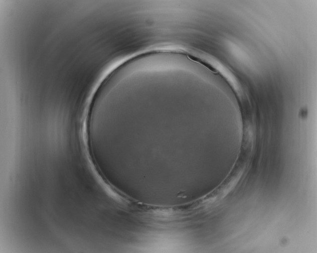 X0000102410959200808152002