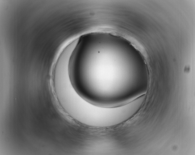 X0000102410960200808152002