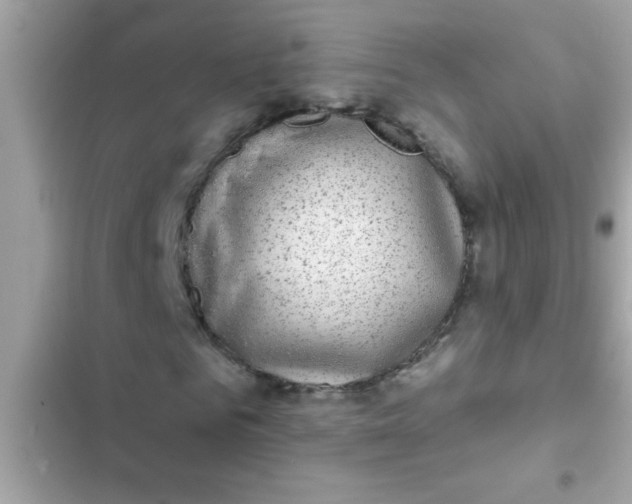 X0000102410961200808152002